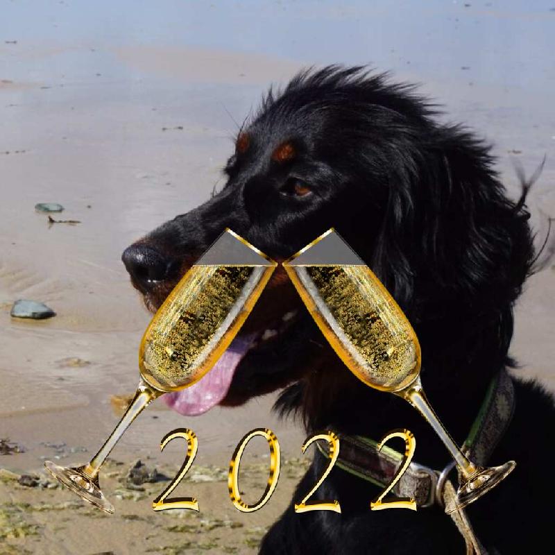 neujahr2022