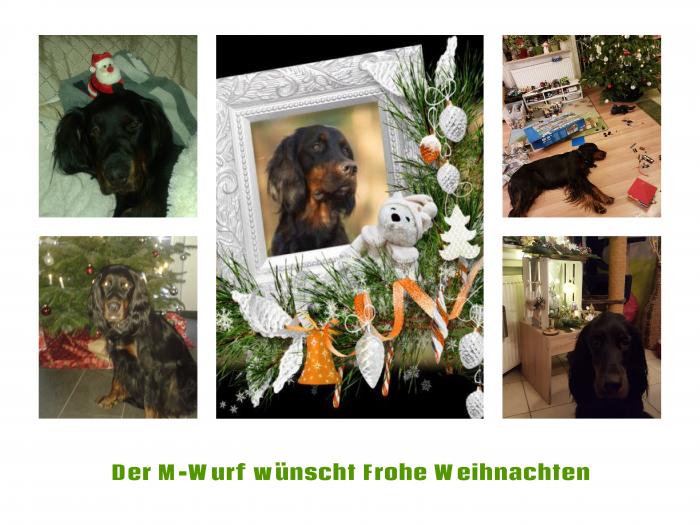 M-Wurf-Weihnachten18