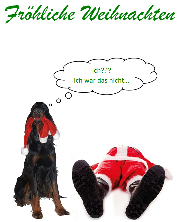 Weihnachten2015